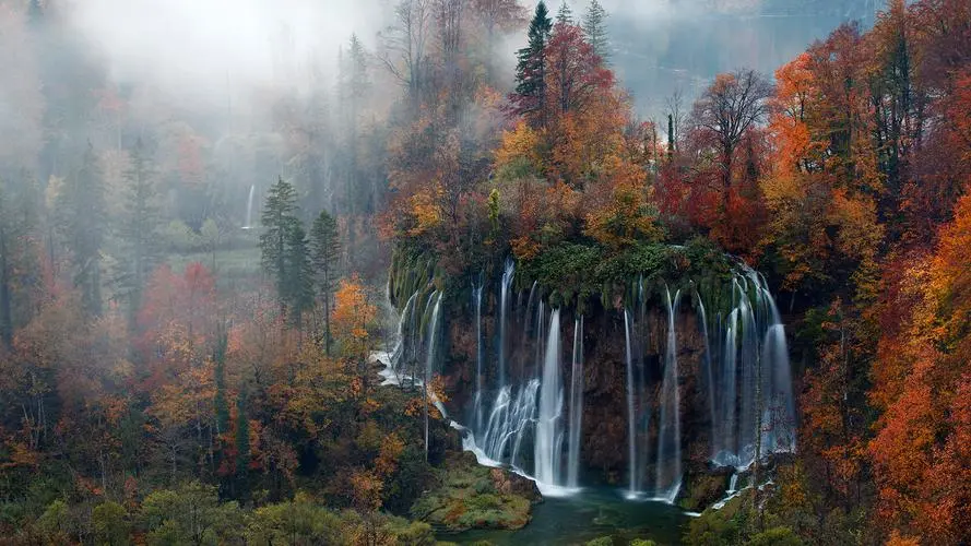 可靠性先进